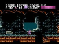 une photo d'Ã©cran de Shadow Warriors sur Nintendo Nes